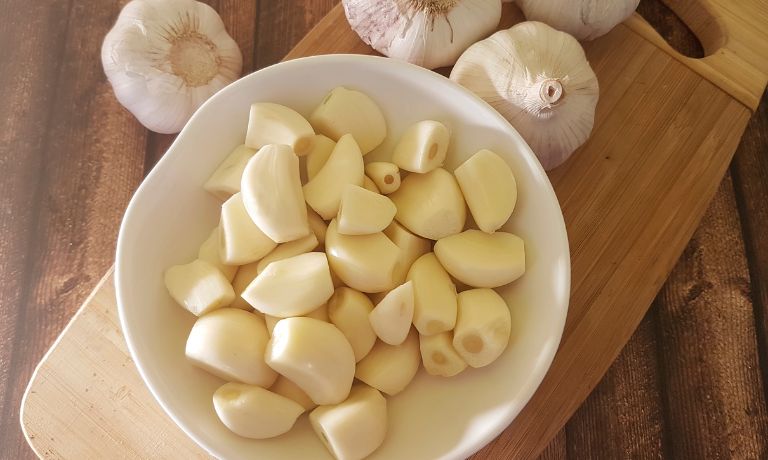 Garlic