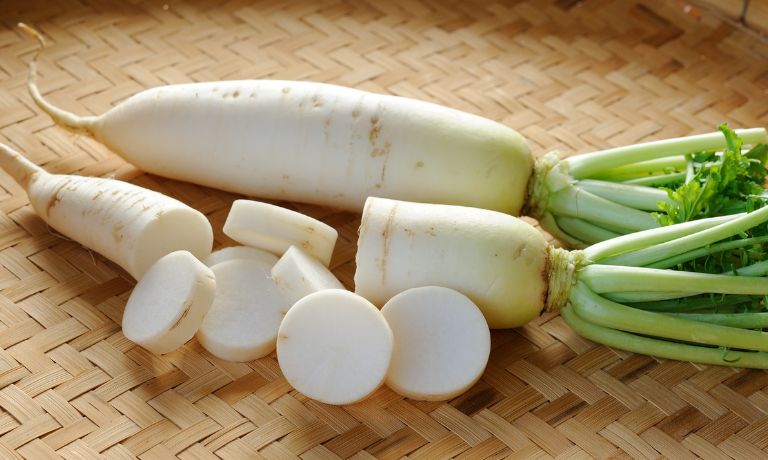 Daikon Radish