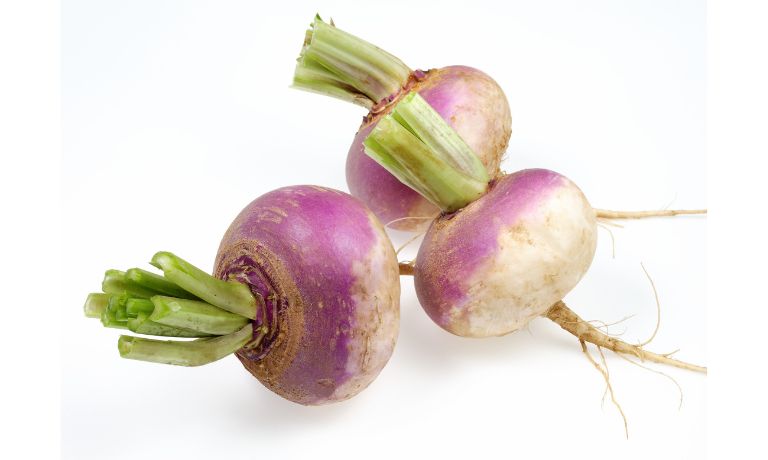 Turnip