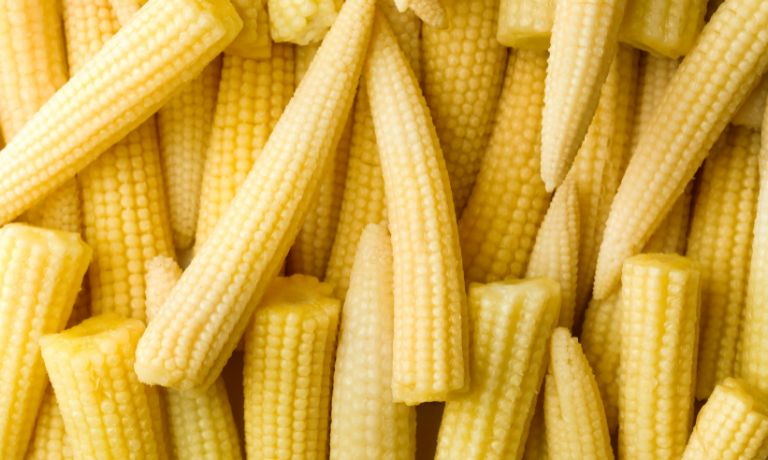 Baby Corn