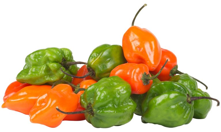 Habanero Peppers