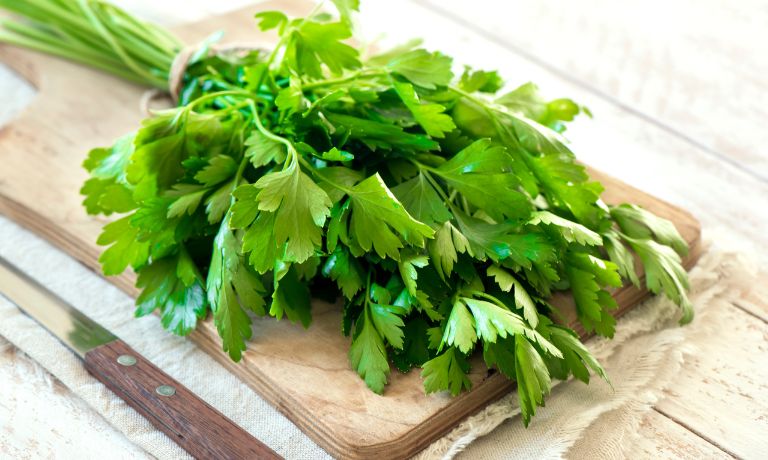 Italian Parsley