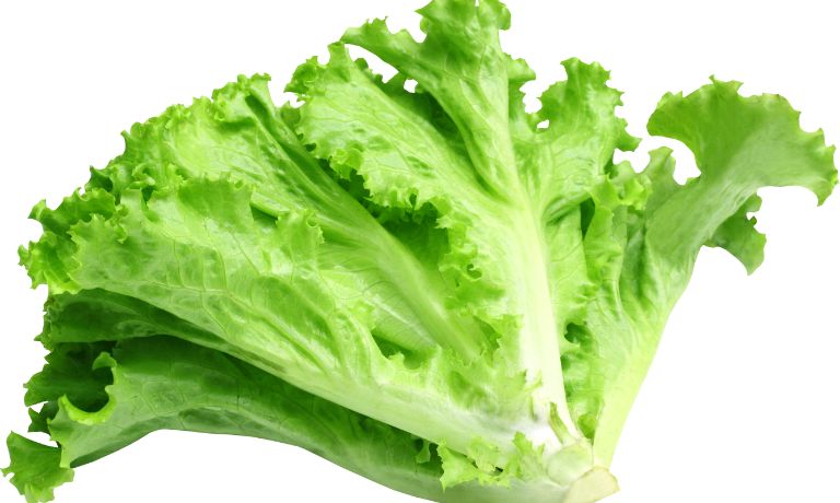 Lettuce