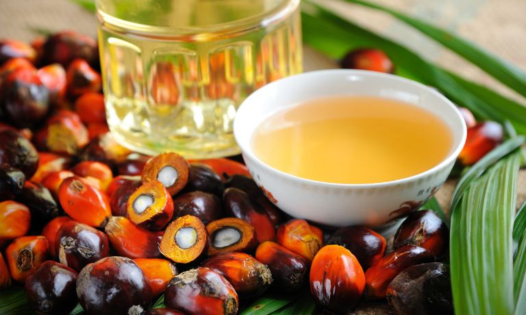 Palm Oil