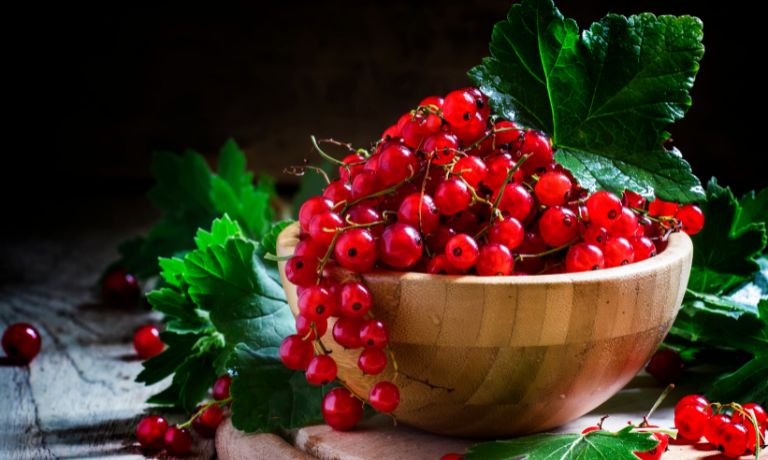 Red Currants