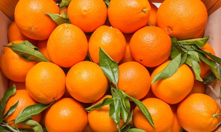 Valencia Oranges