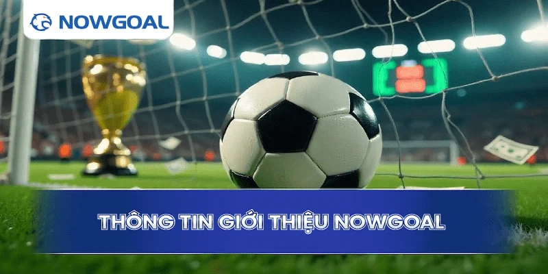 Các tính năng nổi bật của Nowgoal