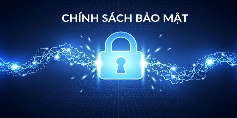 Quy trình thu thập và quản lý dữ liệu tại Nowgoal