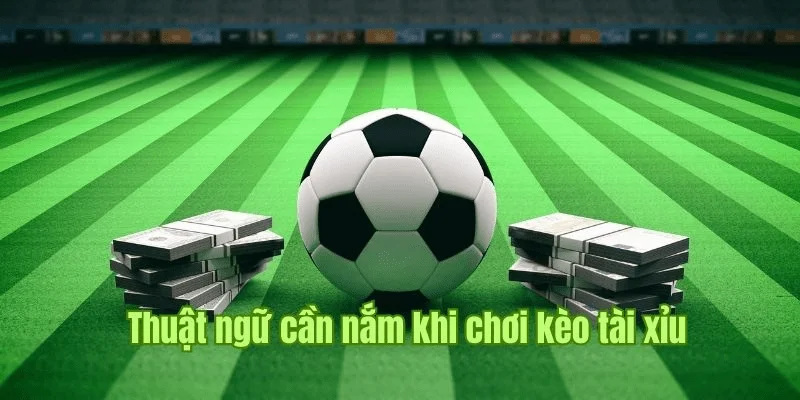 Chiến thuật quan trọng trong kinh nghiệm soi kèo tài xỉu bóng đá